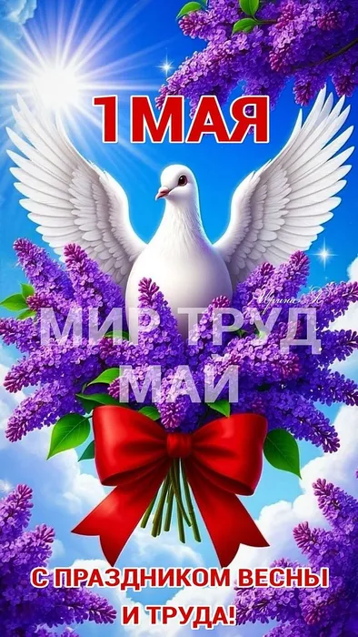 8d7bd48a8bbf07a6953ed94071b653fc