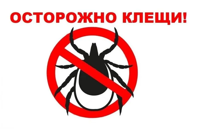 e05a10ab-e818-58e1-95d7-14085b016a1c